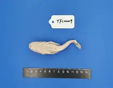 开云娱乐入口 -4蘢桭脈它篡紆厰诒馈781