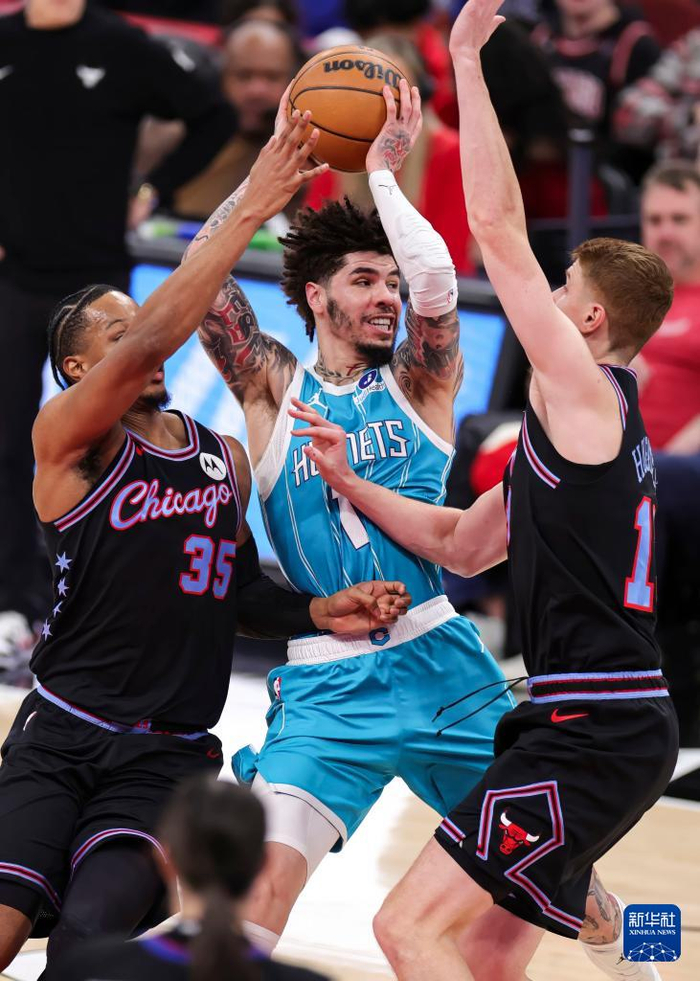 步行者哈里伯顿最新消息